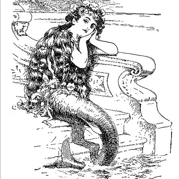 Meet your Posher, Carla - Picture 1 of 4